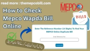 How to Check Mepco Wapda Bill Online Detailed Process for Consumers